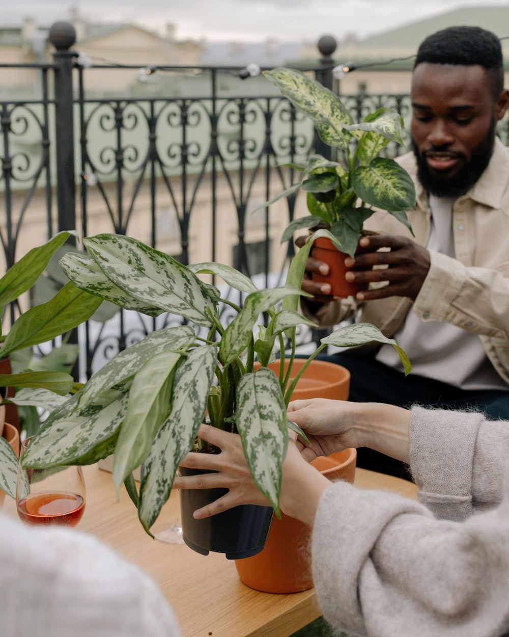 Potting on a balcony