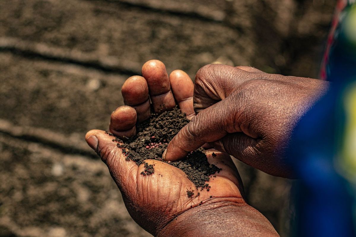 Hands holding fine sieved compost