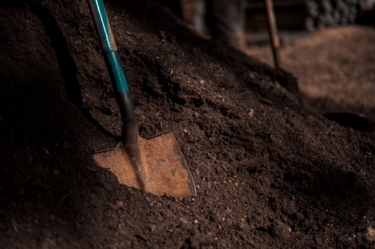 Shovel in a compost heap
